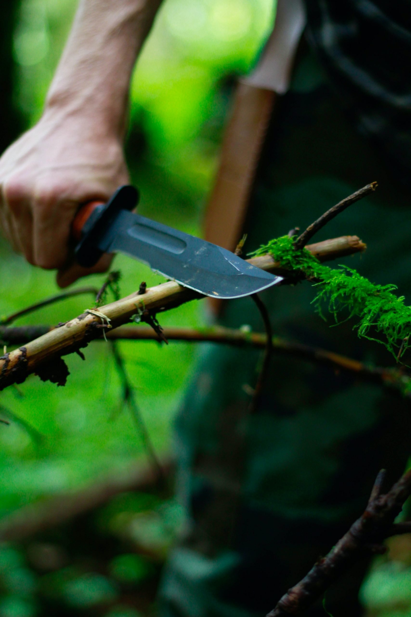 Wilderness Survival