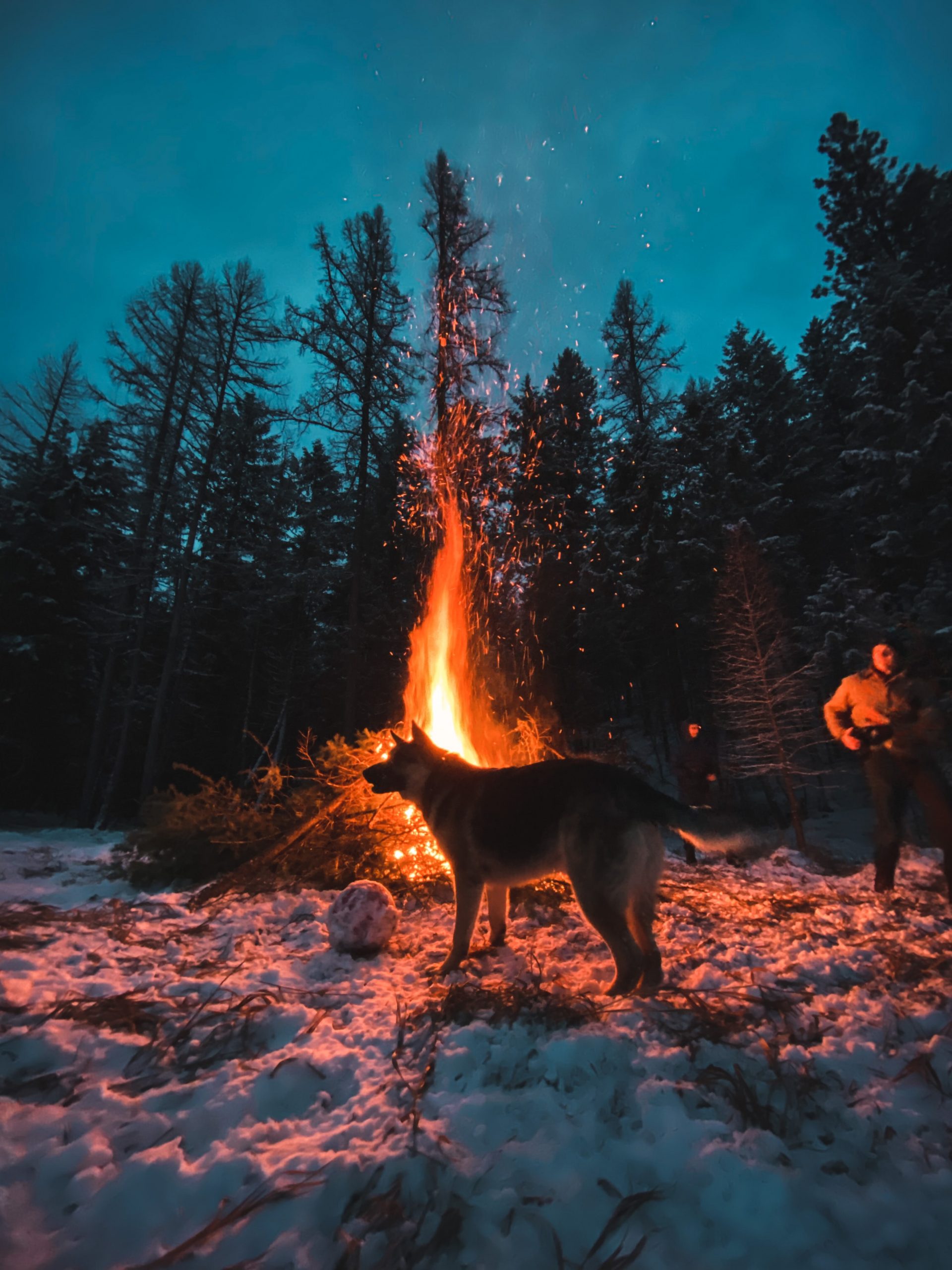 Fire in The Snow