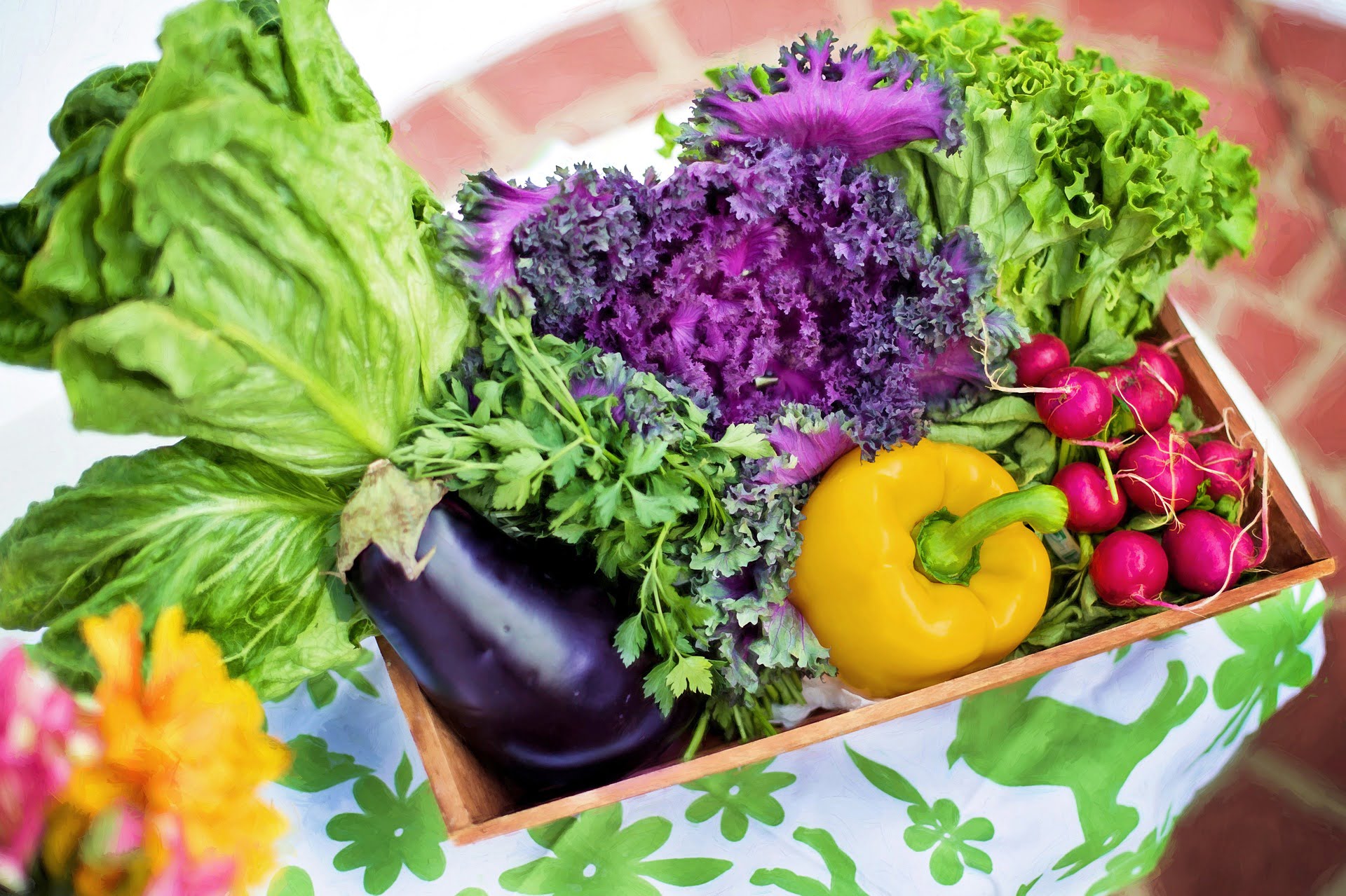 Vegetable Gardening