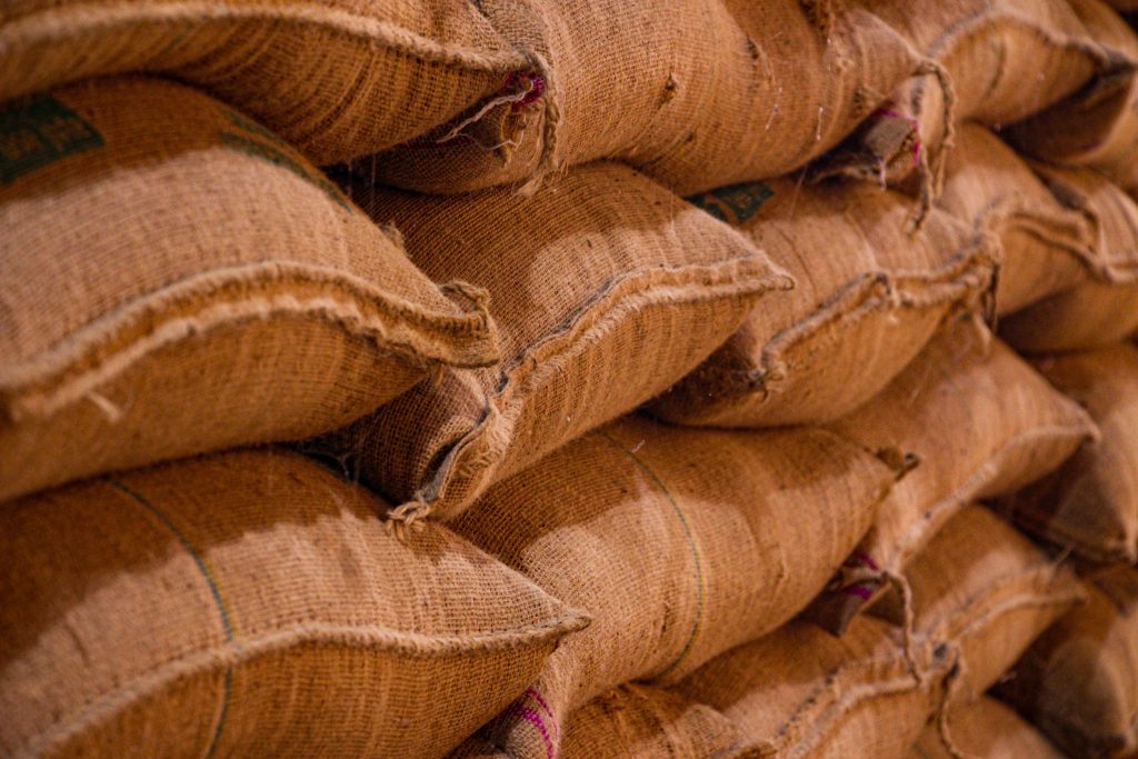 Bivy Sack
