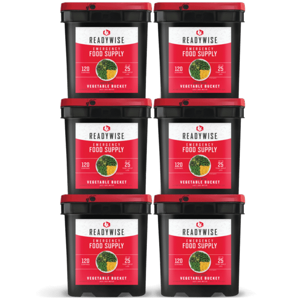 720 Serving Freeze Dried Vegetables (6, 120 serving buckets)