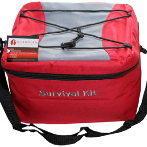 Cooler Bag