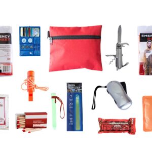 Survival Mini-Emergency Kit, Low Cost
