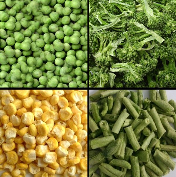 720 Serving Freeze Dried Vegetables (6, 120 serving buckets) - Image 3